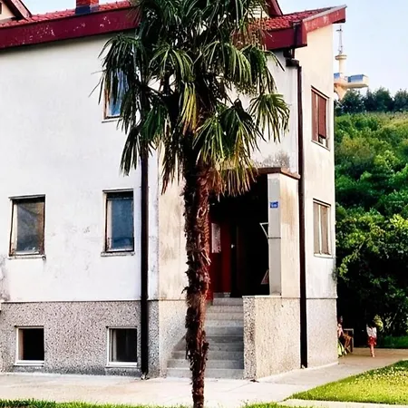 Kiwi House